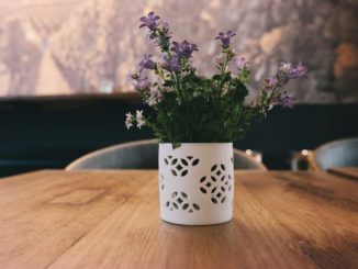 čerstvé květy na stole